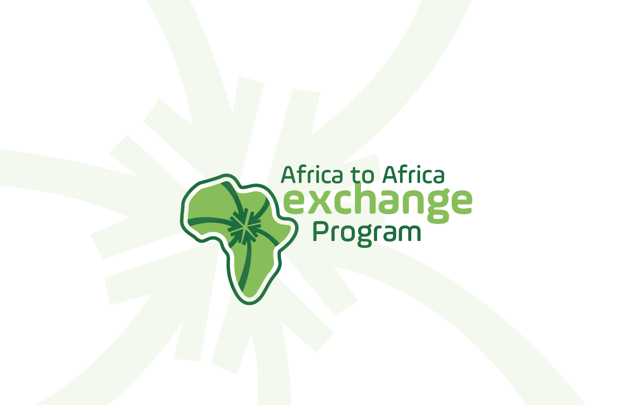 Africa to Africa Exchange Program (AAEP)